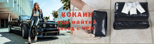индика Алексин
