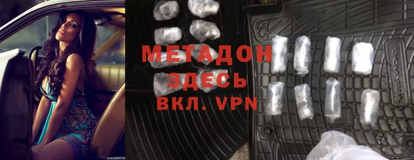 индика Алексин