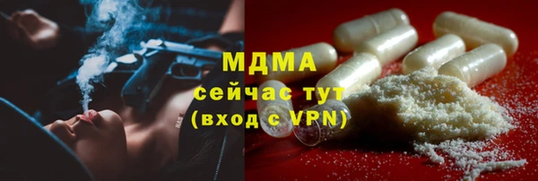 индика Алексин