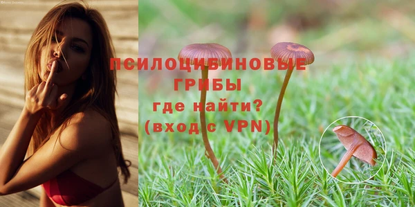 индика Алексин